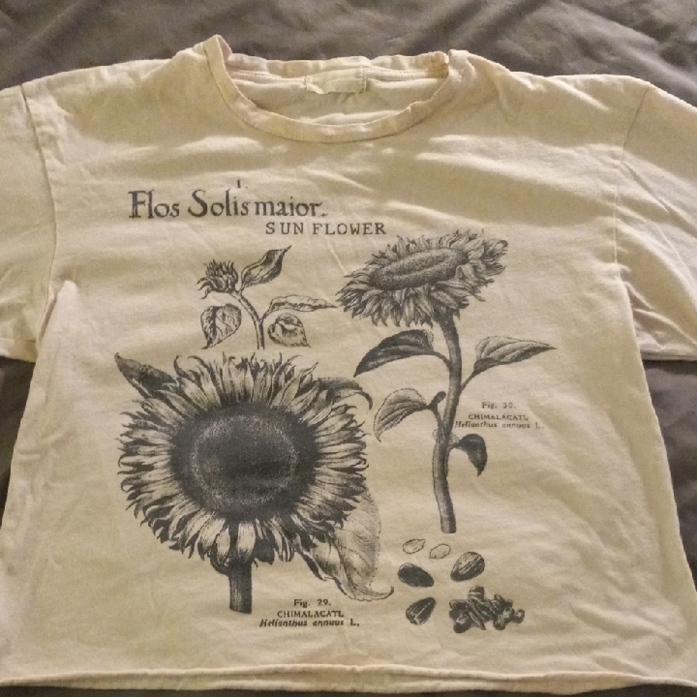 Altar'd State Sunflower Cropped T-shirt